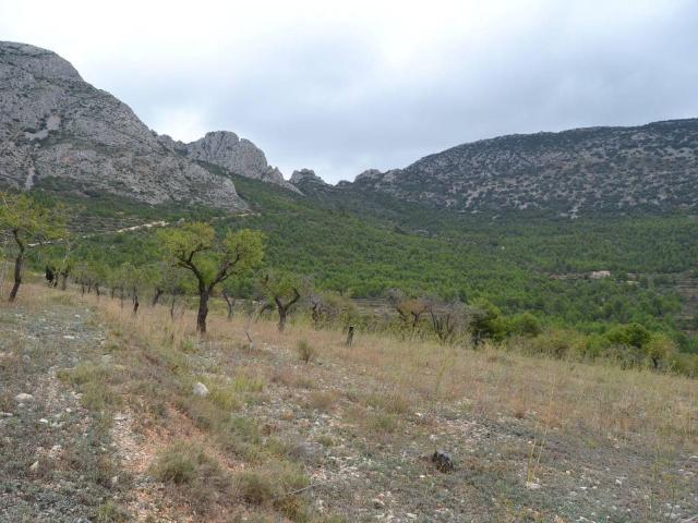Terreno en venta en la Marina Baixa, Valencia