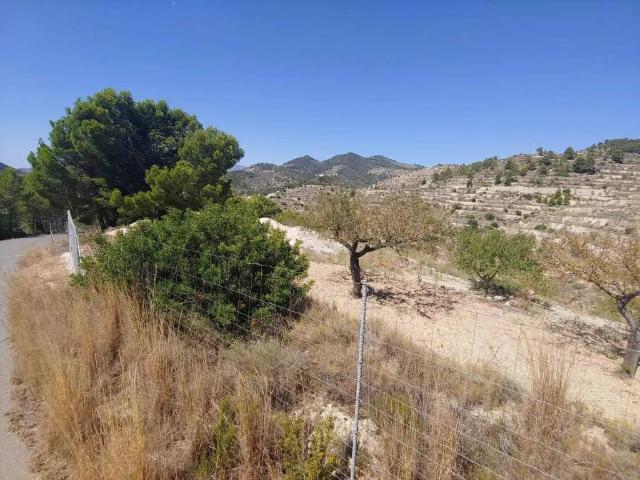 Terreno en venta en la Marina Baixa, Valencia