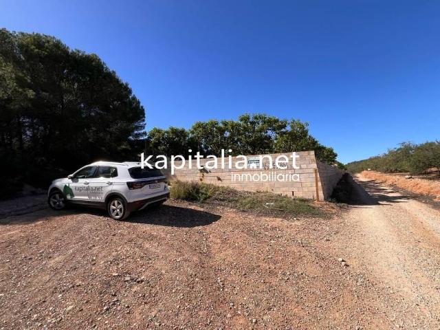 Terreno en venta en la Ribera Alta, Valencia
