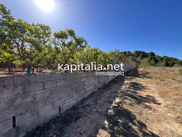Terreno en venta en la Ribera Alta, Valencia