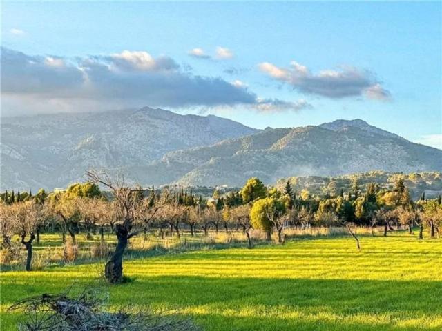 Terreno en venta en Selva Terreno en venta en Selva