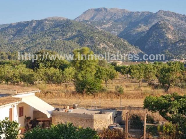 Terreno en venta en Selva Terreno en venta en Selva