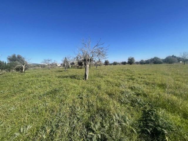 Terreno en venta en Raiguer, Baleares