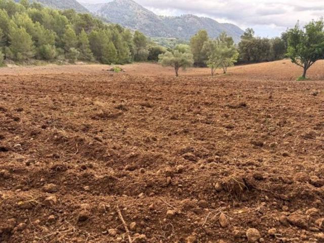 Terreno en venta en Raiguer, Baleares
