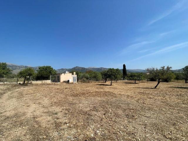 Terreno en venta en Selva Terreno en venta en Selva