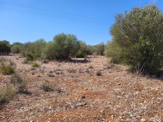 Terreno en venta en Sencelles