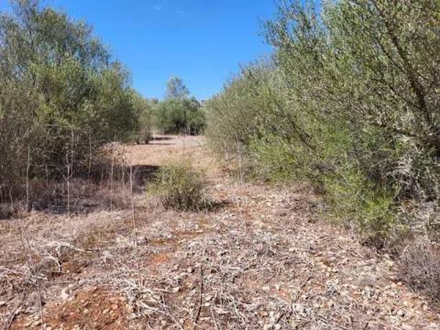 Terreno en venta en Jornets, Pla de Mallorca