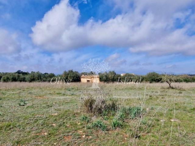 Terreno en venta en Sencelles