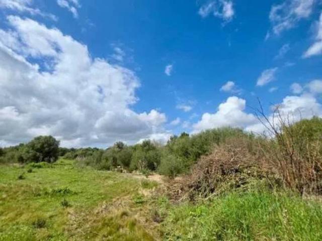 Terreno en venta en Pla de Mallorca, Baleares