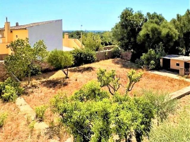 Terreno en venta en Sencelles