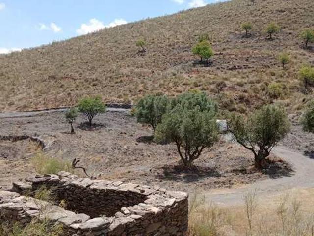 Terreno en venta en Senés, Andalucía