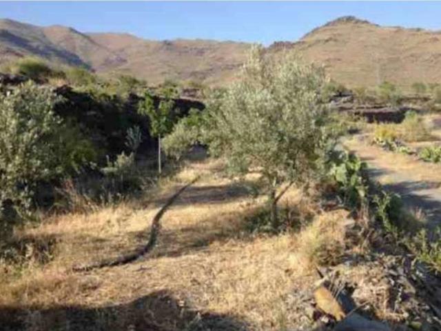 Terreno en venta en Senés, Andalucía
