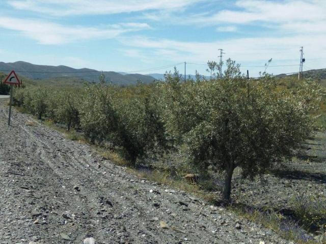 Terreno en venta en Senés, Andalucía