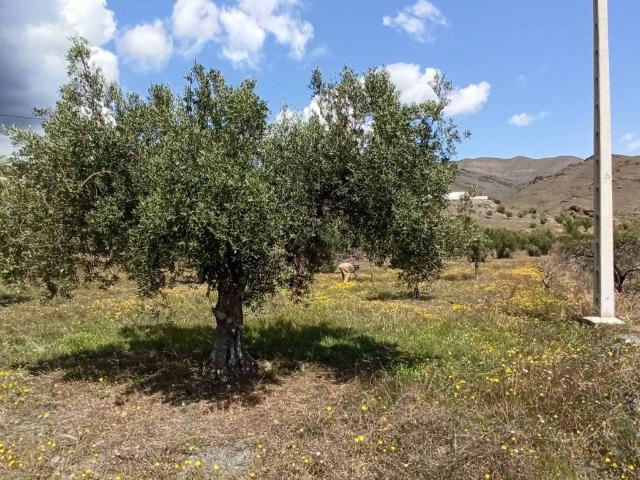 Terreno en venta en Senés, Andalucía