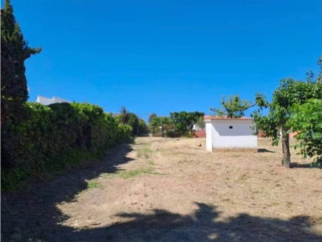 Terreno en venta en Serranillos Del Valle, Madrid