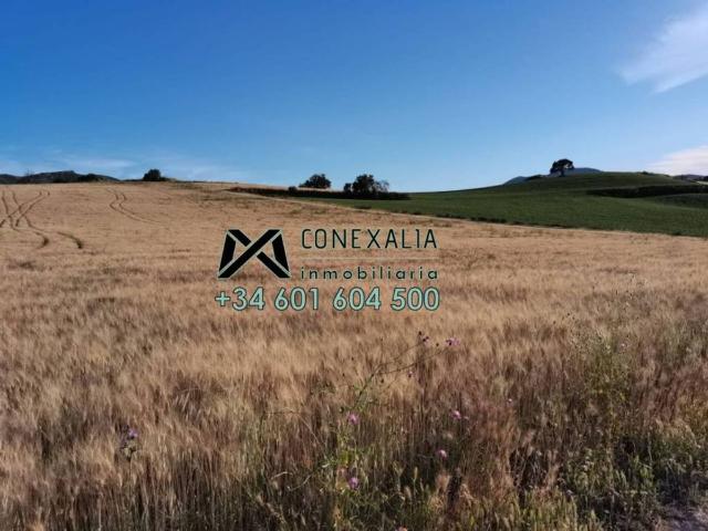 Terreno en venta en Sierra de Cádiz, Andalucía