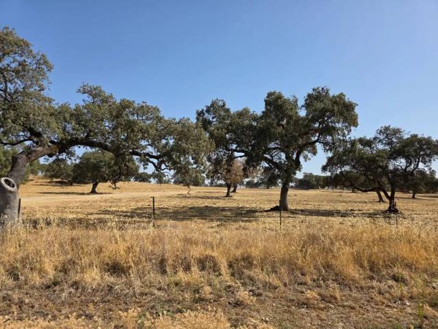 Terreno en venta en Sevilla, Andalucía