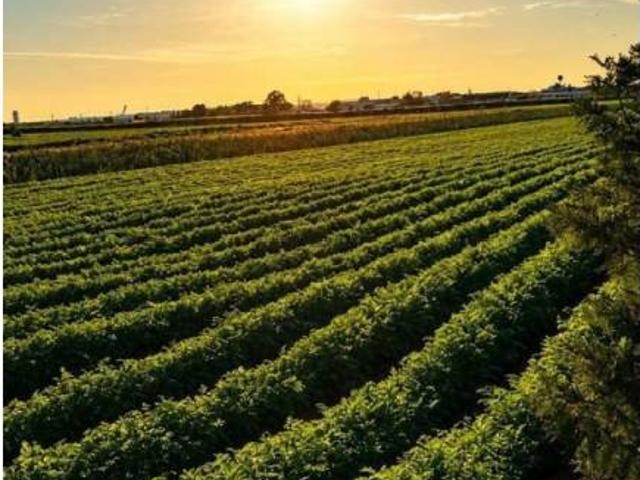Terreno en venta en Sevilla, Andalucía