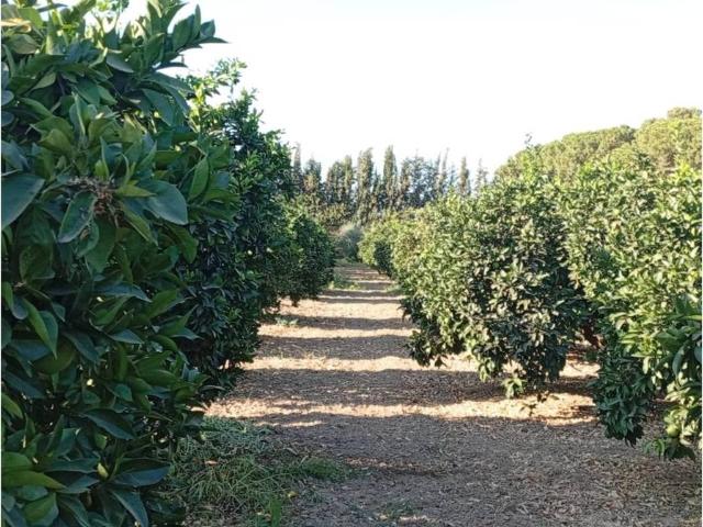 Terreno en venta en Sevilla, Andalucía