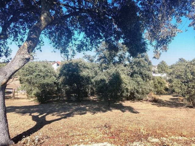 Terreno en venta en Sevilla La Nueva, Madrid