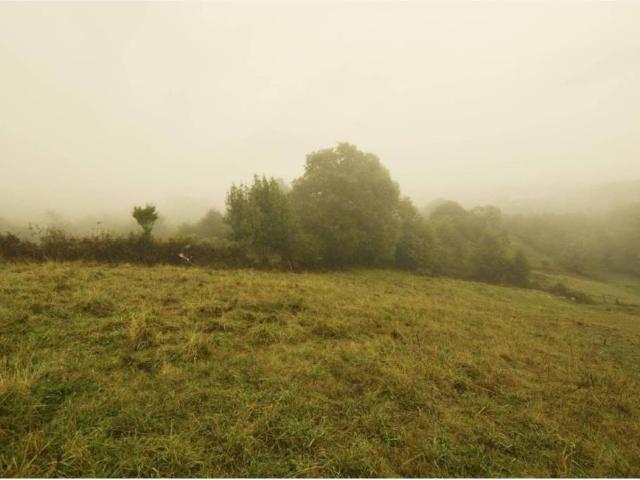 Terreno en venta en Siero, Asturias