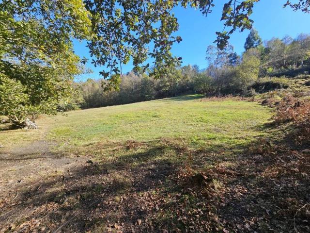 Terreno en venta en Siero, Asturias