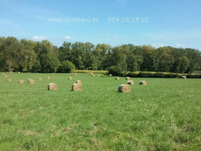 Terreno en venta en Fuentespino, Siero
