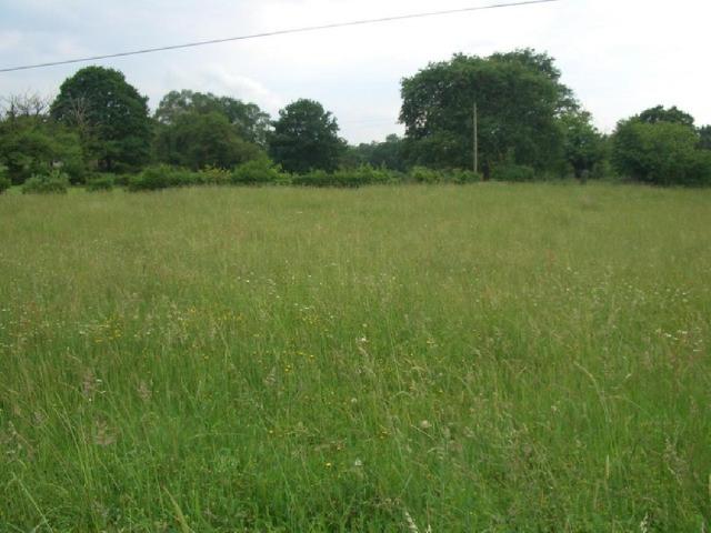 Terreno en venta en Negales, Siero