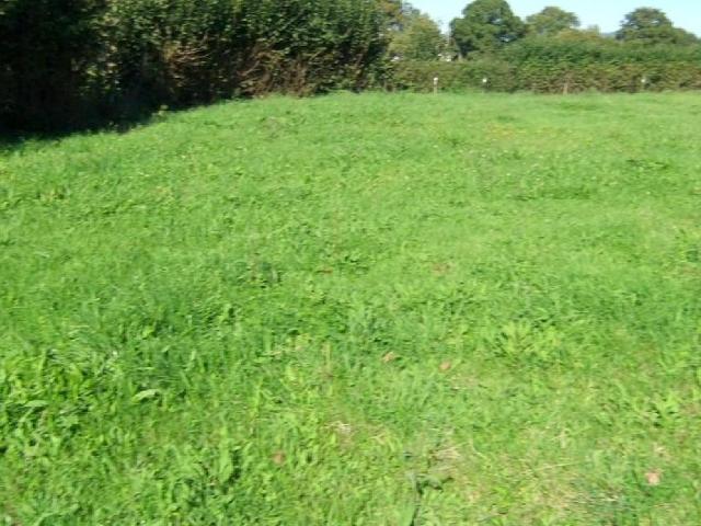 Terreno en venta en Negales, Siero