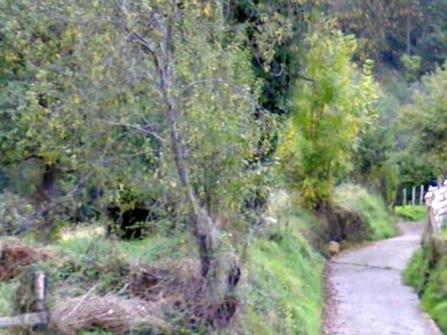 Terreno en venta en Santolaya, Siero