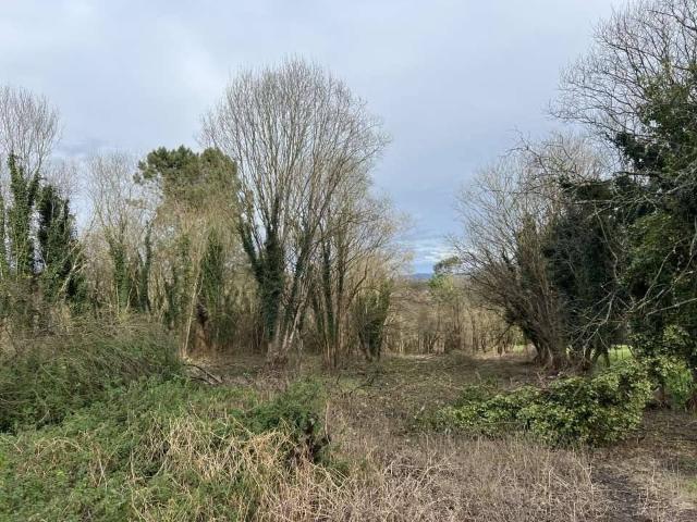 Terreno en venta en Siero, Asturias