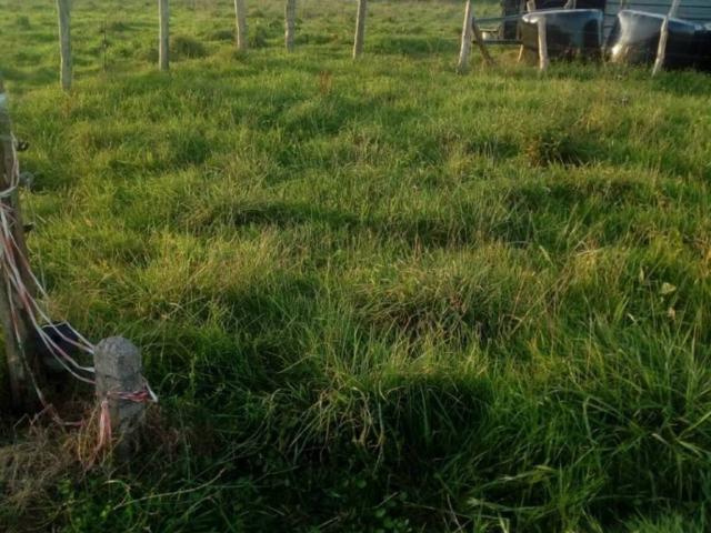 Terreno en venta en Siero, Asturias