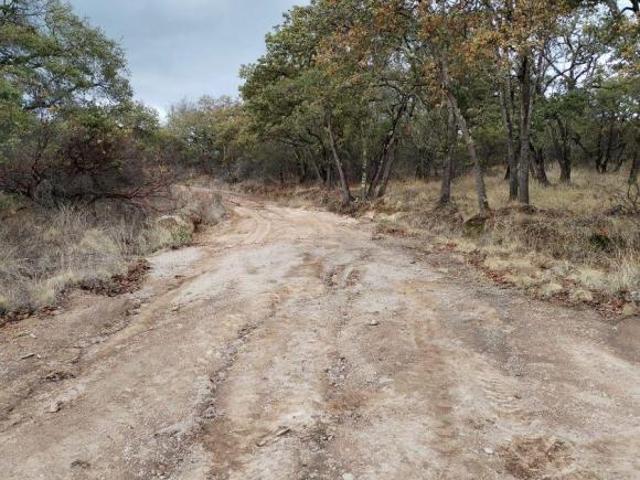 Terreno en venta en San Felipe, Guanajuato