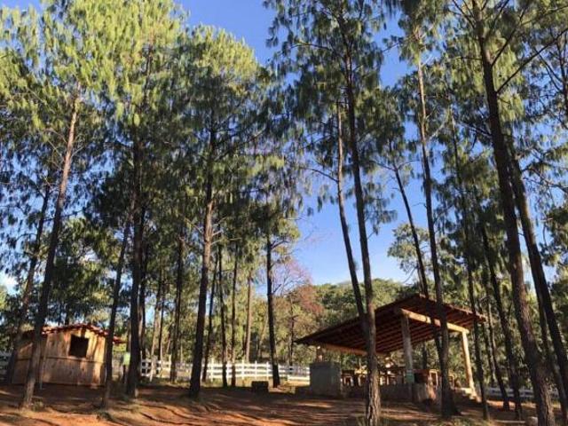 Terreno en venta en Chiquilistlán, Jalisco