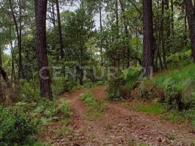 Terreno en venta en Chiquilistlán, Jalisco