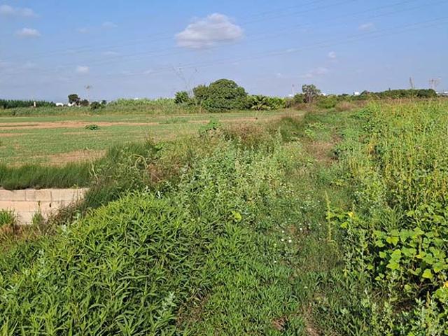 Terreno en venta en l'Horta Sud, Valencia