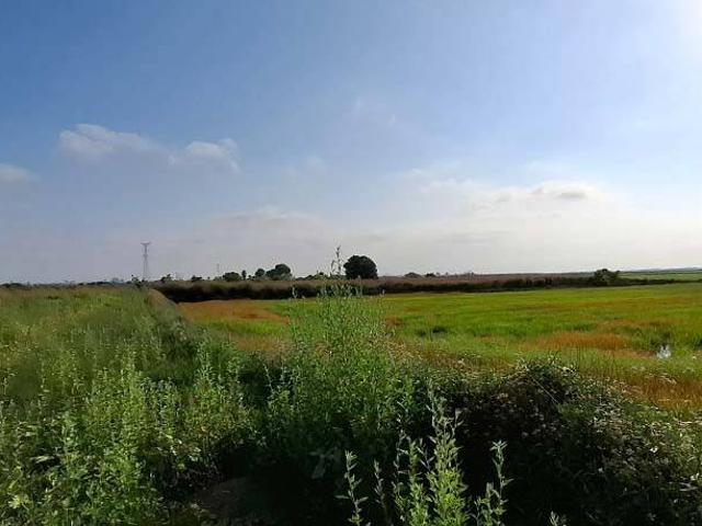 Terreno en venta en l'Horta Sud, Valencia