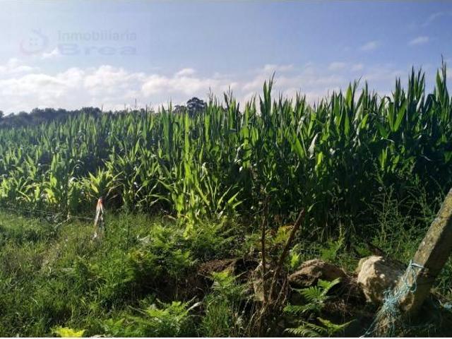 Terreno en venta en O Deza, Galicia
