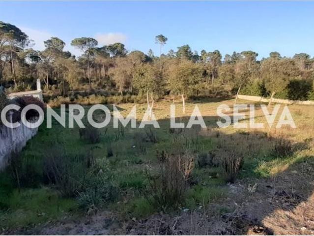 Terreno en venta en la Selva, Catalunya