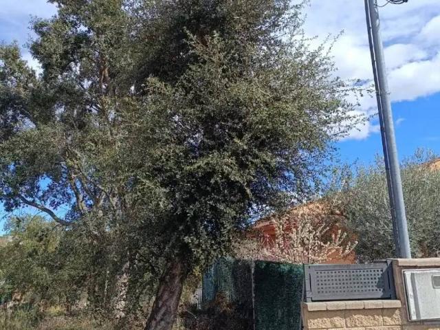 Terreno en venta en la Selva, Catalunya