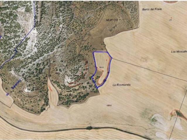 Terreno en venta en Simancas, Castilla y León