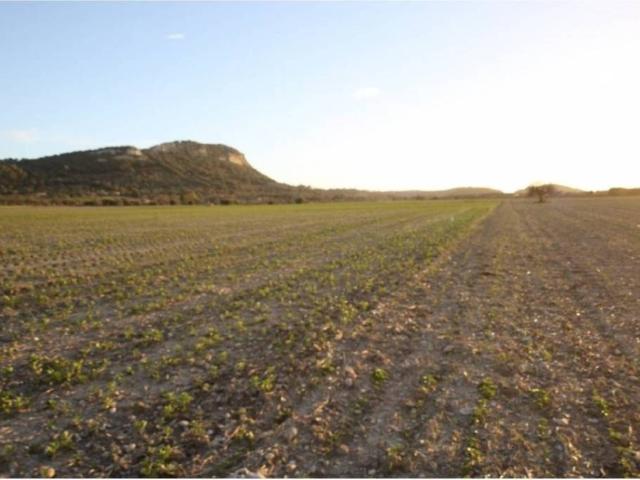 Terreno en venta en Pla de Mallorca, Baleares