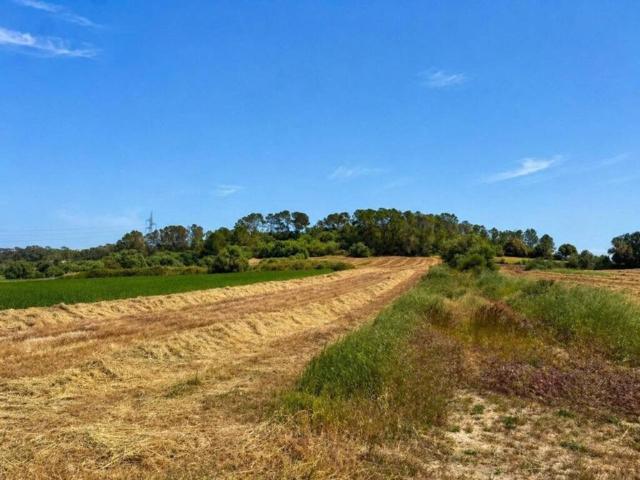 Terreno en venta en Pla de Mallorca, Baleares