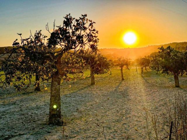 Terreno en venta en Sineu