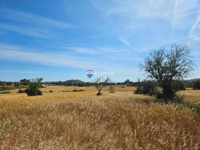 Terreno en venta en Sineu