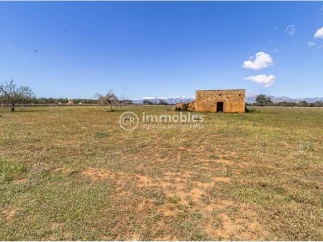 Terreno en venta en Sineu