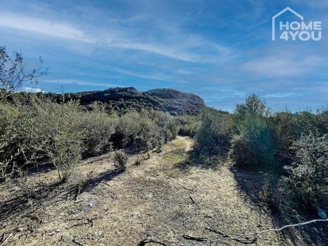 Terreno en venta en Sineu