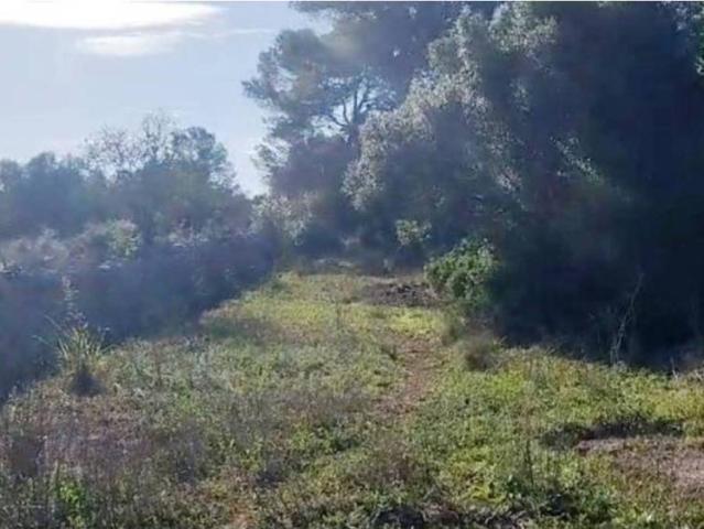 Terreno en venta en Pla de Mallorca, Baleares