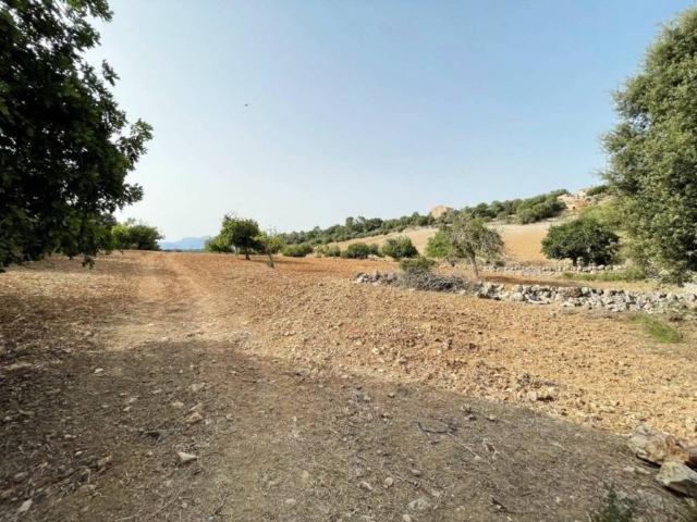 Terreno en venta en Pla de Mallorca, Baleares