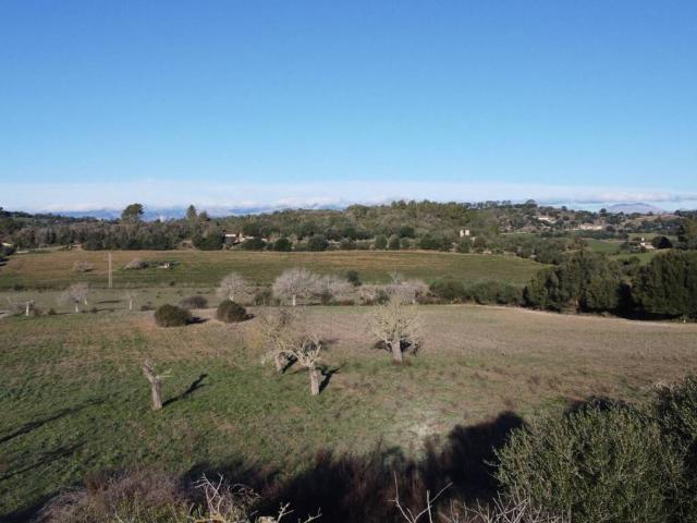 Terreno en venta en Sineu